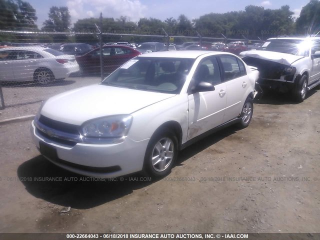 1G1ZT54895F247025 - 2005 CHEVROLET MALIBU LS თეთრი ფოტო 2