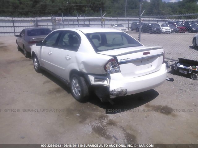 1G1ZT54895F247025 - 2005 CHEVROLET MALIBU LS თეთრი ფოტო 3
