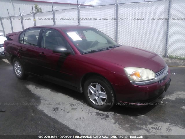 1G1ZT54855F139842 - 2005 CHEVROLET MALIBU LS 红色 照片 1