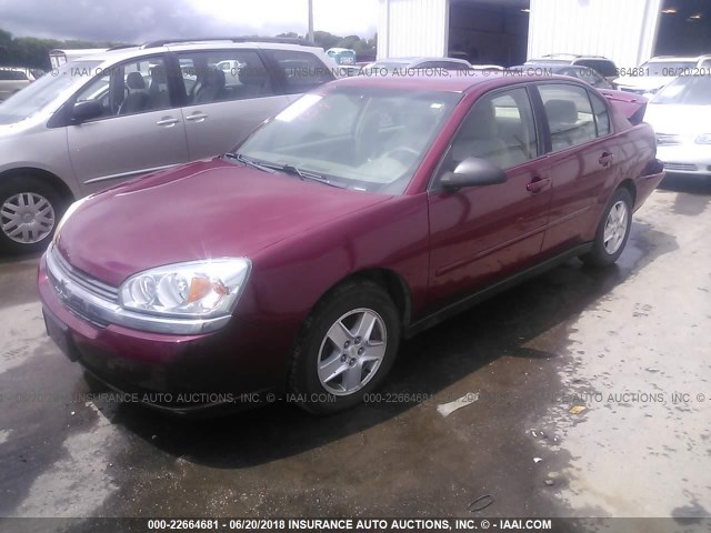 1G1ZT54855F139842 - 2005 CHEVROLET MALIBU LS 红色 照片 2