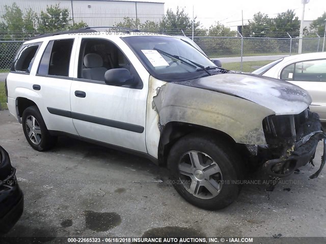 1GNDT13S652325959 - 2005 CHEVROLET TRAILBLAZER LS/LT WHITE photo 1