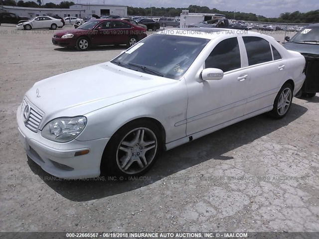 WDBNG74J53A325611 - 2003 MERCEDES-BENZ S 55 AMG WHITE photo 2