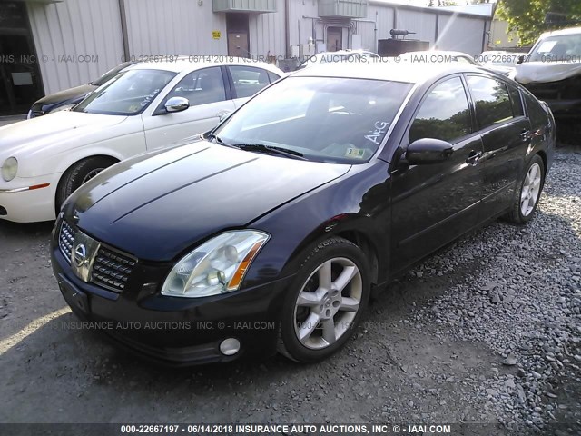 1N4BA41E66C822287 - 2006 NISSAN MAXIMA SE/SL BLACK photo 2