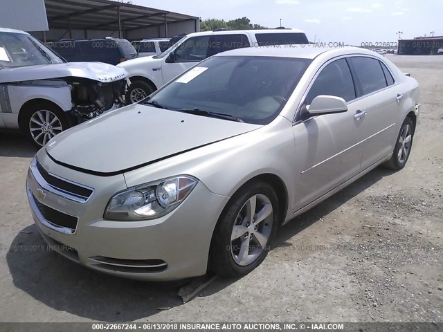 1G1ZC5EU2CF304366 - 2012 CHEVROLET MALIBU 1LT 金色 照片 2