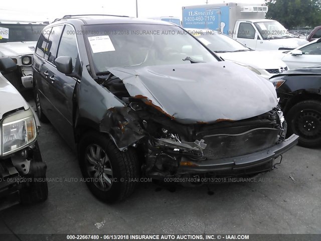 5FNRL386X9B406150 - 2009 HONDA ODYSSEY EXL ნაცრისფერი ფოტო 1