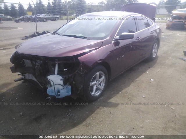 1G1ZB5ST6GF218353 - 2016 CHEVROLET MALIBU LS BURGUNDY photo 2