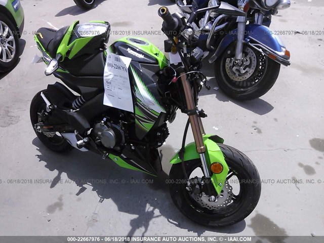 JKABRRJ16HDA05201 - 2017 KAWASAKI BR125 J GREEN photo 1