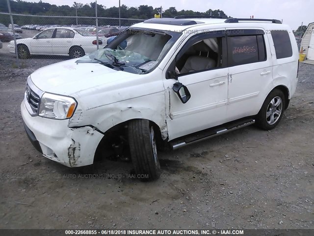 5FNYF4H72DB033776 - 2013 HONDA PILOT EXLN WHITE photo 2