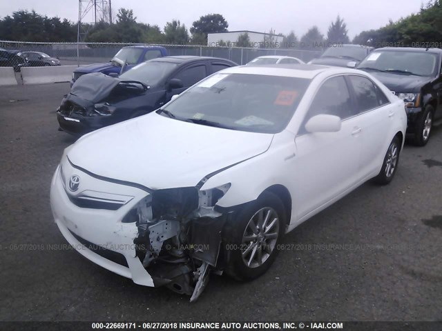 4T1BB3EK3AU124090 - 2010 TOYOTA CAMRY HYBRID WHITE photo 2