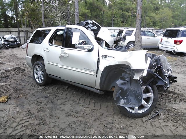 1GYS3CEF7DR212355 - 2013 CADILLAC ESCALADE PREMIUM Champagne photo 1