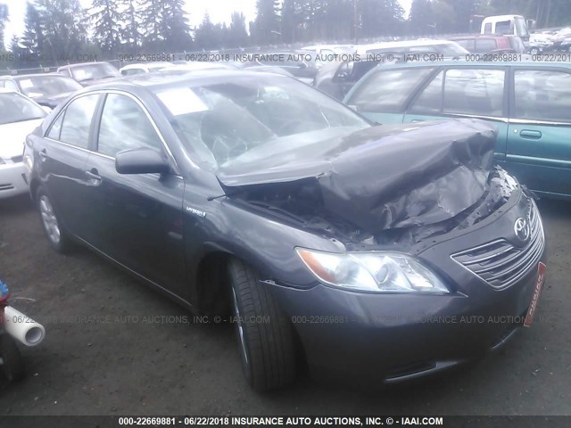 4T1BB46K98U044663 - 2008 TOYOTA CAMRY HYBRID GRAY photo 1