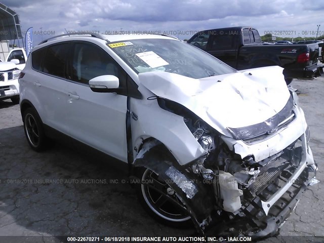 1FMCU0J93EUD00674 - 2014 FORD ESCAPE TITANIUM WHITE photo 1