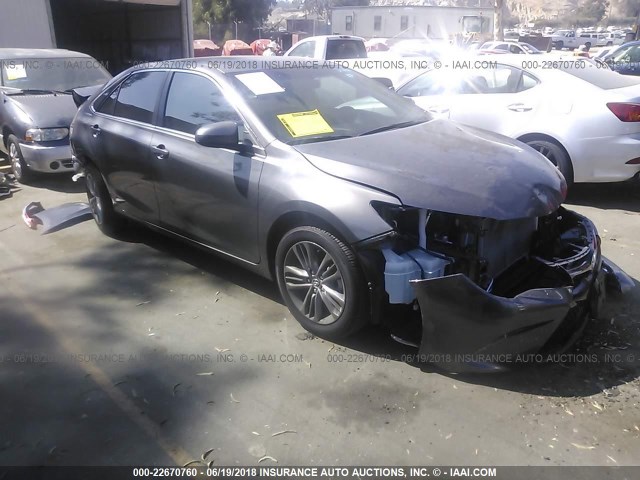 4T1BF1FK5HU393631 - 2017 TOYOTA CAMRY LE/XLE/SE/XSE GRAY photo 1