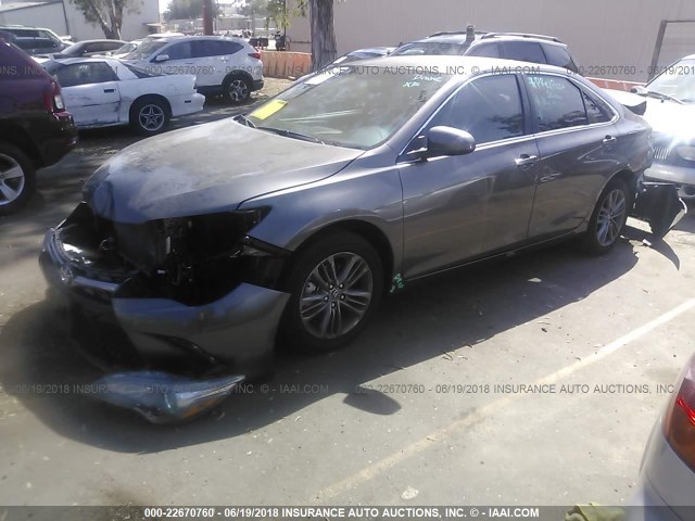4T1BF1FK5HU393631 - 2017 TOYOTA CAMRY LE/XLE/SE/XSE GRAY photo 2