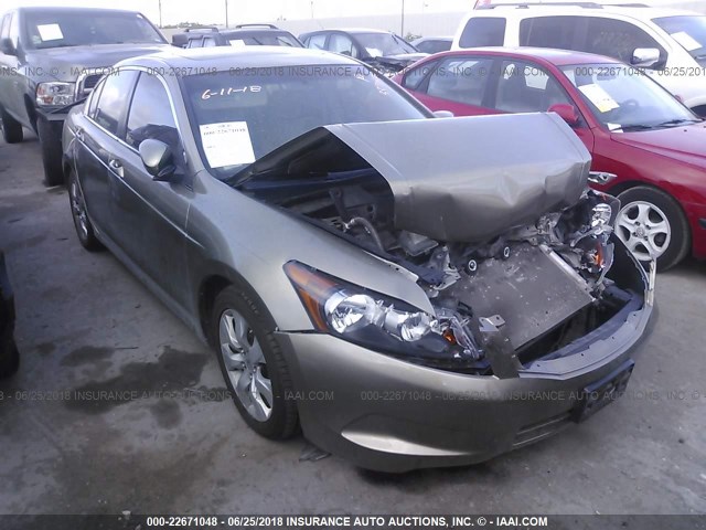 JHMCP26778C033837 - 2008 HONDA ACCORD EX GOLD photo 1