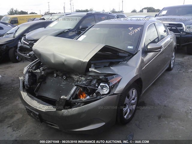 JHMCP26778C033837 - 2008 HONDA ACCORD EX GOLD photo 2