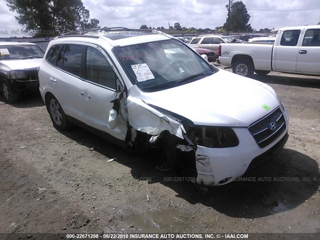 5NMSH13E29H265580 - 2009 HYUNDAI SANTA FE SE/LIMITED WHITE photo 1