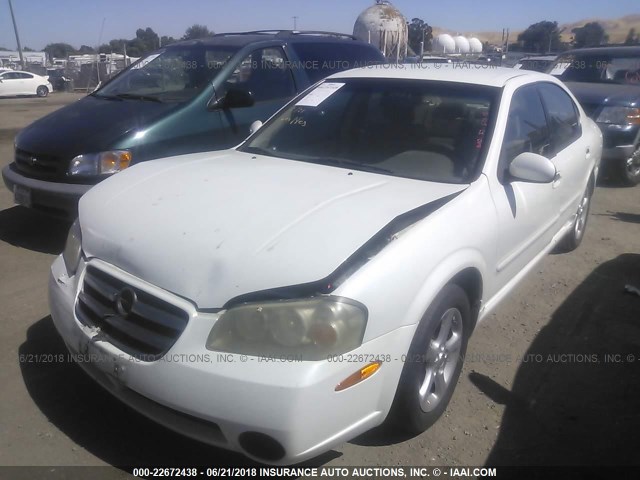 JN1DA31D42T406434 - 2002 NISSAN MAXIMA GLE/GXE/SE WHITE photo 2