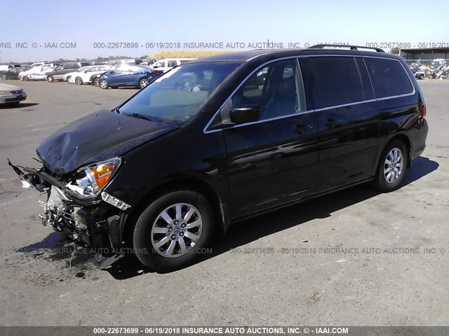 5FNRL3H74AB036004 - 2010 HONDA ODYSSEY EXL BLACK photo 2