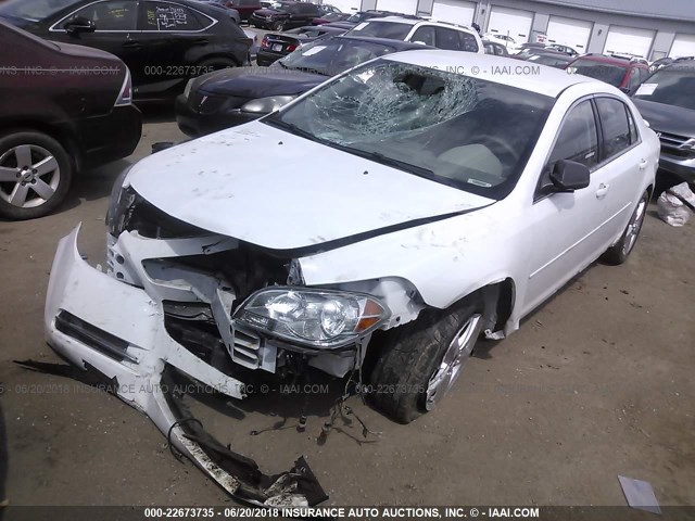 1G1ZG57BX9F227416 - 2009 CHEVROLET MALIBU LS თეთრი ფოტო 2
