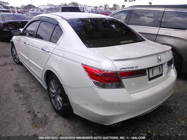 5KBCP3F88BB003239 - 2011 HONDA ACCORD EXL WHITE photo 3