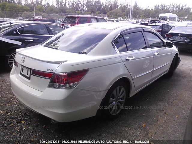 5KBCP3F88BB003239 - 2011 HONDA ACCORD EXL WHITE photo 4