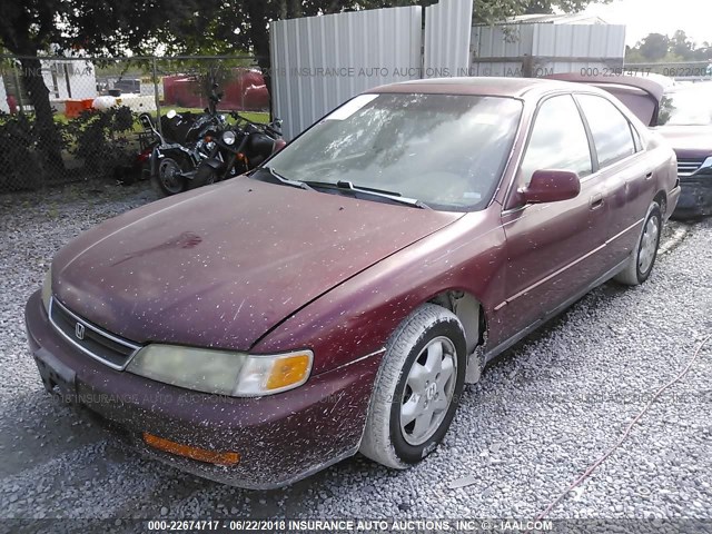 1HGCE6670TA011781 - 1996 HONDA ACCORD EX/EX-R MAROON photo 2