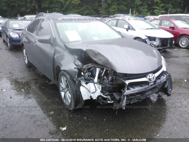 4T1BF1FKXFU002308 - 2015 TOYOTA CAMRY LE/XLE/SE/XSE GRAY photo 1