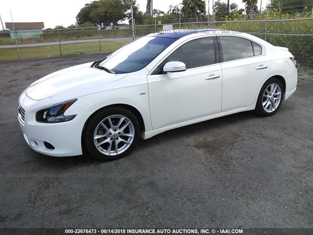 1N4AA51E79C834177 - 2009 NISSAN MAXIMA S/SV WHITE photo 2