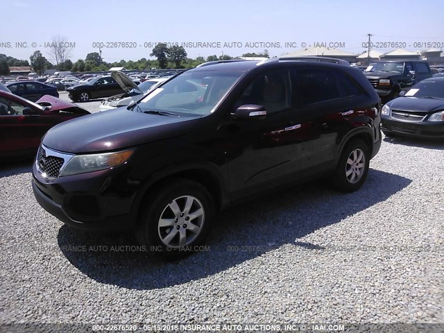 5XYKT4A23BG117219 - 2011 KIA SORENTO LX PURPLE photo 2