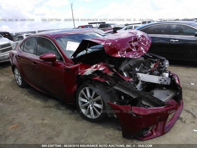 JTHBF1D21E5016614 - 2014 LEXUS IS 250 RED photo 1