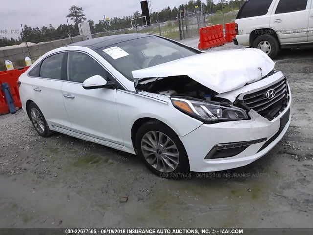 5NPE34AF7FH030583 - 2015 HYUNDAI SONATA SPORT/LIMITED WHITE photo 1