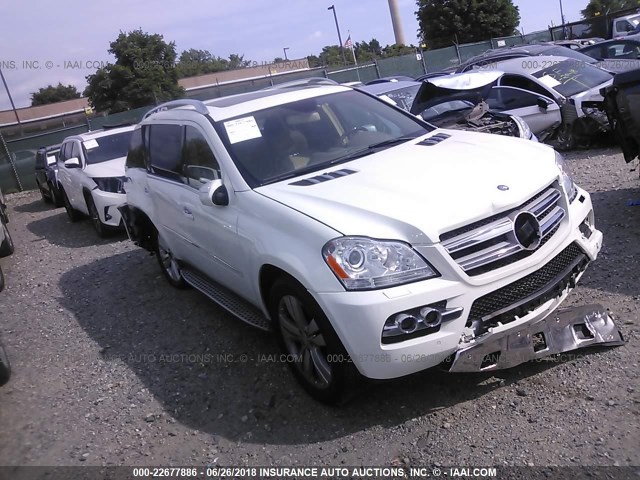 4JGBF7BEXAA621097 - 2010 MERCEDES-BENZ GL 450 4MATIC WHITE photo 1