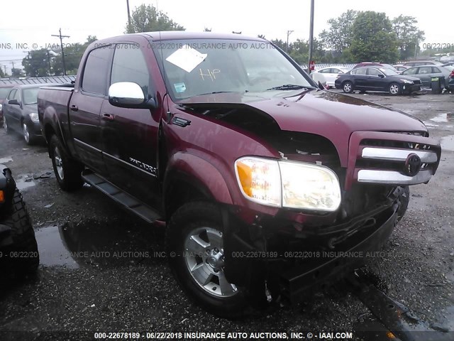 5TBDT44185S484869 - 2005 TOYOTA TUNDRA DOUBLE CAB SR5 BURGUNDY photo 1