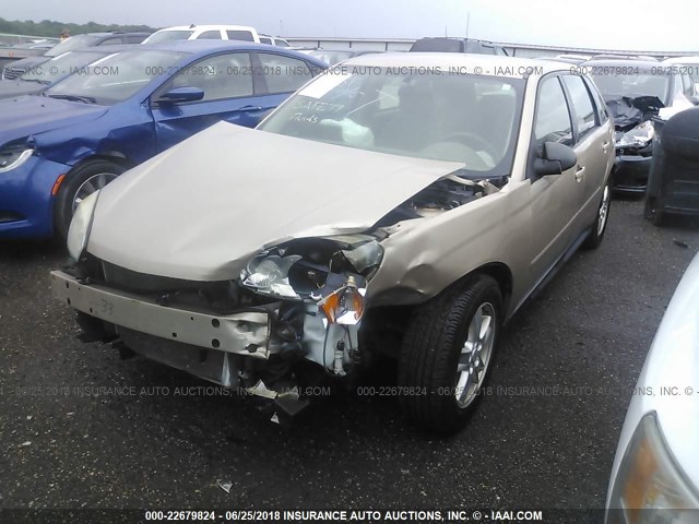 1G1ZT62835F324108 - 2005 CHEVROLET MALIBU MAXX LS 金色 照片 2