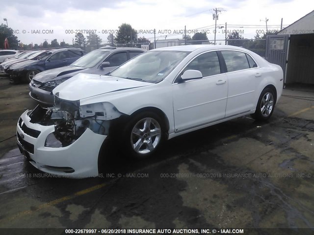 1G1ZH57B89F150901 - 2009 CHEVROLET MALIBU 1LT 白色 照片 2