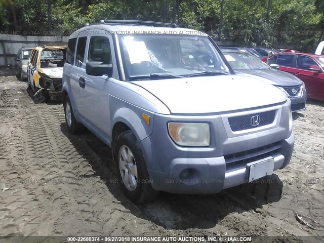 5J6YH273X4L019550 - 2004 HONDA ELEMENT LX SILVER photo 1