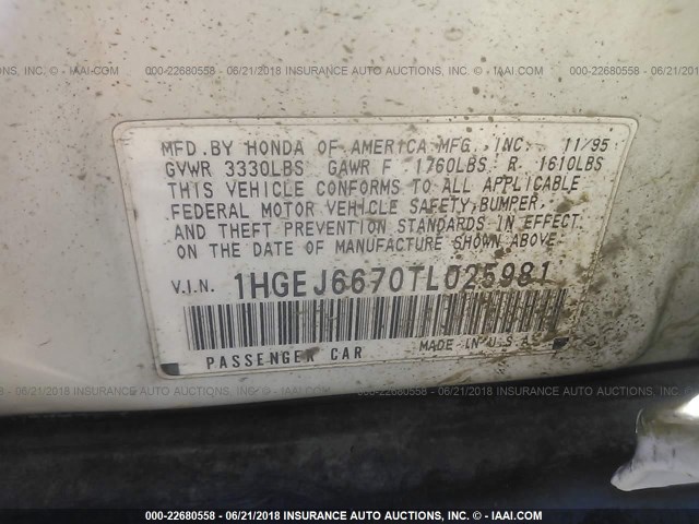 1HGEJ6670TL025981 - 1996 HONDA CIVIC LX თეთრი ფოტო 9