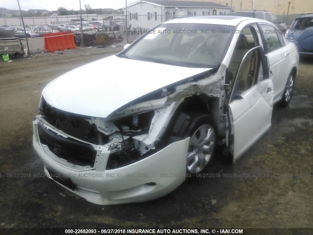 5KBCP3F86AB005456 - 2010 HONDA ACCORD EXL WHITE photo 2