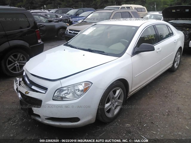 1G1ZB5EB1A4149237 - 2010 CHEVROLET MALIBU LS WHITE photo 2