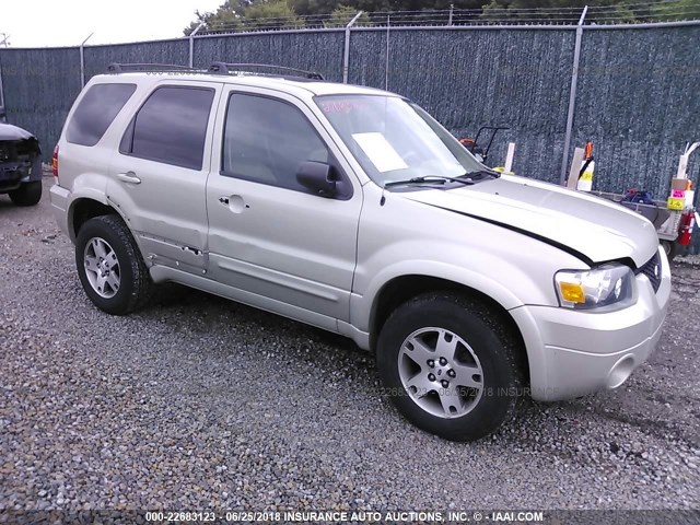 1FMYU04125KA33468 - 2005 FORD ESCAPE LIMITED Champagne photo 1