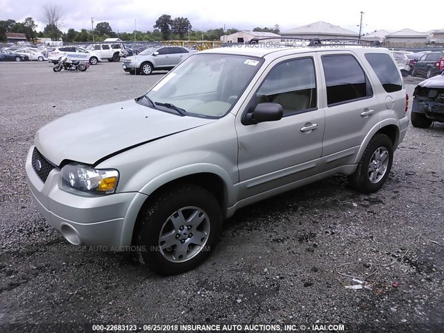 1FMYU04125KA33468 - 2005 FORD ESCAPE LIMITED Champagne photo 2