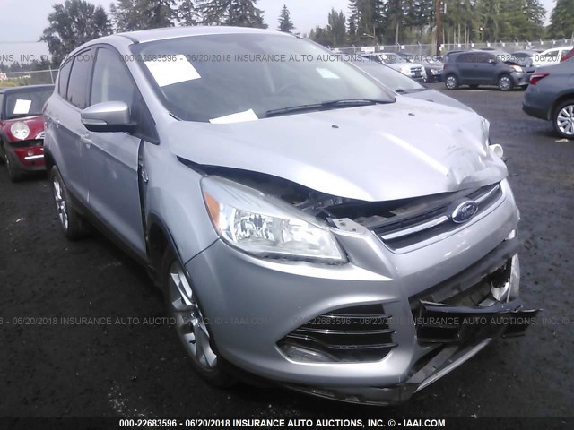 1FMCU9HX5DUB84157 - 2013 FORD ESCAPE SEL SILVER photo 1