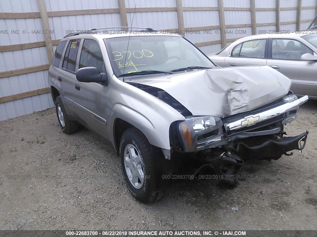 1GNDT13S722443093 - 2002 CHEVROLET TRAILBLAZER  TAN photo 1