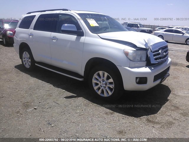 5TDDW5G1XAS036465 - 2010 TOYOTA SEQUOIA PLATINUM WHITE photo 1