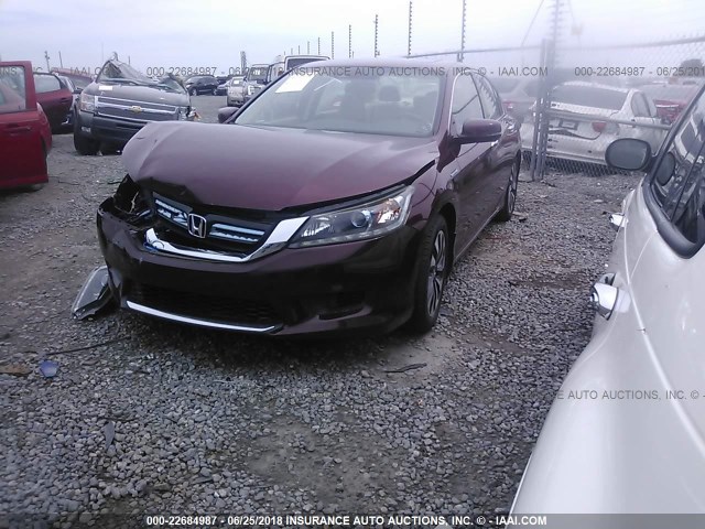 1HGCR6F52EA003087 - 2014 HONDA ACCORD HYBRID/EXL BURGUNDY photo 2