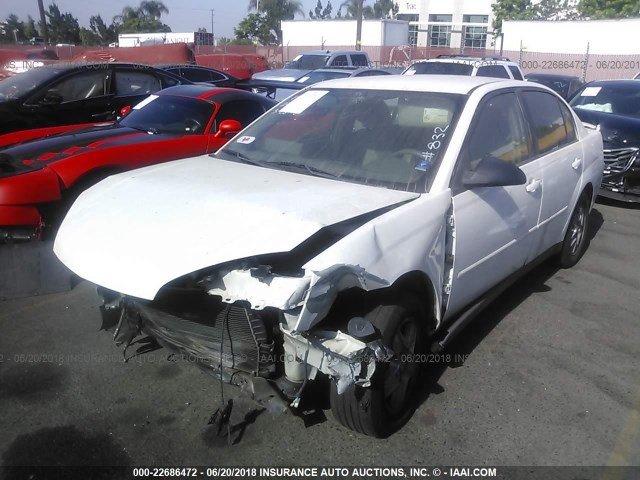 1G1ZT52875F306768 - 2005 CHEVROLET MALIBU LS Ağ foto 2