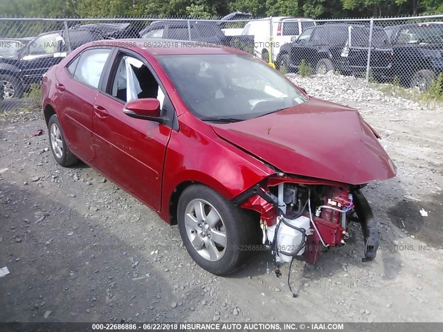 2T1BURHEXEC096718 - 2014 TOYOTA COROLLA L/LE/LE PLS/PRM/S/S PLS RED photo 1