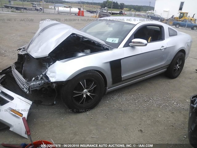 1ZVBP8AM2D5230780 - 2013 FORD MUSTANG SILVER photo 2