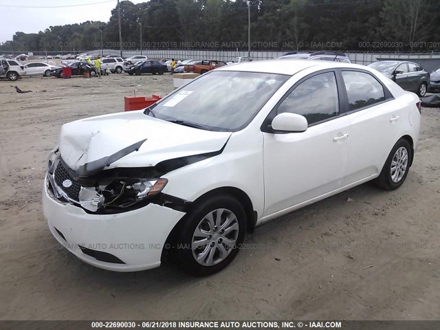 KNAFT4A27D5676539 - 2013 KIA FORTE LX WHITE photo 2